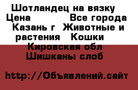 Шотландец на вязку › Цена ­ 1 000 - Все города, Казань г. Животные и растения » Кошки   . Кировская обл.,Шишканы слоб.